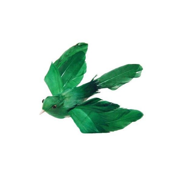 Federvogel fliegend grün
