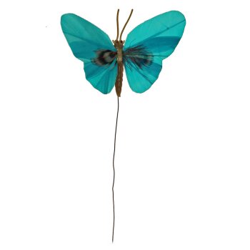 Deko-Schmetterlinge 7 cm türkis Stückpreis
