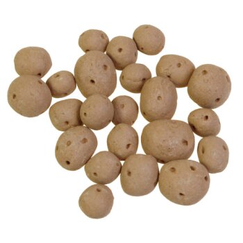 Mini-Kartoffeln 5-8 mm Deko-Kartoffeln 24 Stück