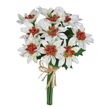Mini-Poinsettia Bund 18 cm creme-weiss 11 Blüten Weihnachtsstern-Sträußchen