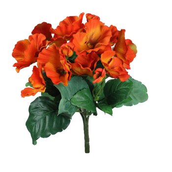 Stiefmütterchen-Busch orange 12 Blüten 22 cm...