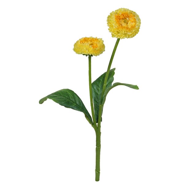Bellis-Pick gelb mit 2 Blüten 22 cm künstliche Bellis-Blumen