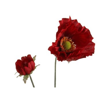 Roter Mohn Mohnblume mit Blüte und Knospe 70 cm