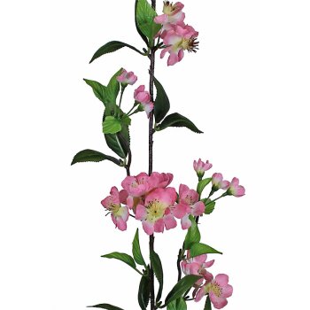 Apfelblütenzweig rosa 32 Blüten 80 cm