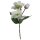 Christrosen-Zweig Helleborus weiss 3 Blüten 34 cm