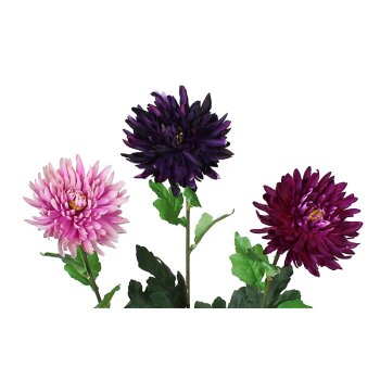 Deko-Chrysanthemen Ton-in-Ton Mix lila-violett-pink 70 cm...