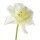 Osterglocke weisse 60 cm Kunstblumen Seidenblumen