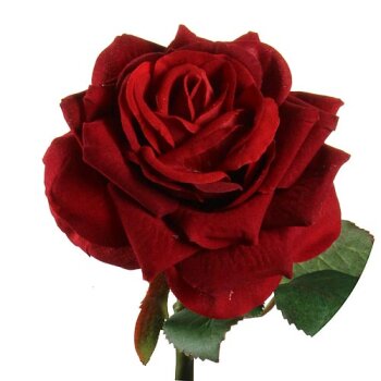 Samtrose rot 48 cm Velour-Rose Velvet-Rose