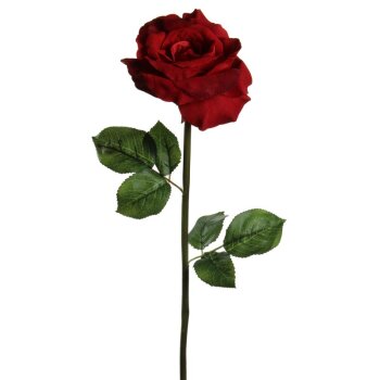 Samtrose rot 60 cm Velvet-Rose Velour-Rose