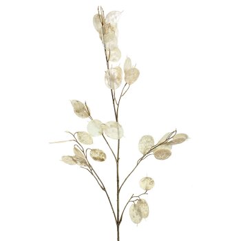 Lunaria creme 87 cm