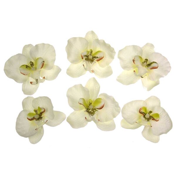 Orchideenblüten zum Streuen creme-zartgrün Kunstblumen Seidenblumen