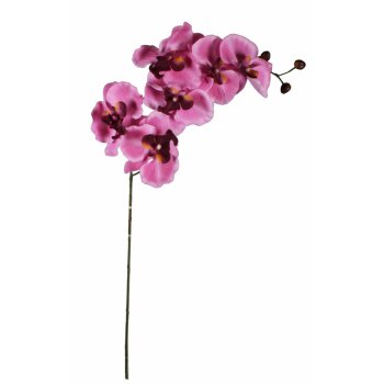 Künstliche Orchideen Rispe 80 cm bordeaux-rosa...
