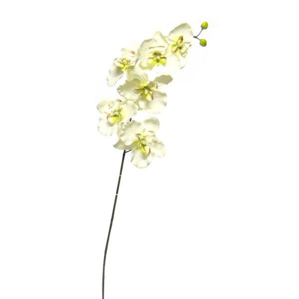 Künstliche Orchideen Rispe 80 cm creme-zartgrün Kunstblumen Seidenblumen