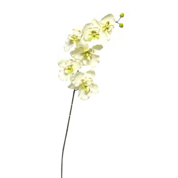 Künstliche Orchideen Rispe 80 cm creme-zartgrün Kunstblumen Seidenblumen