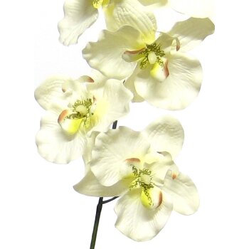Künstliche Orchideen Rispe 80 cm creme-zartgrün...