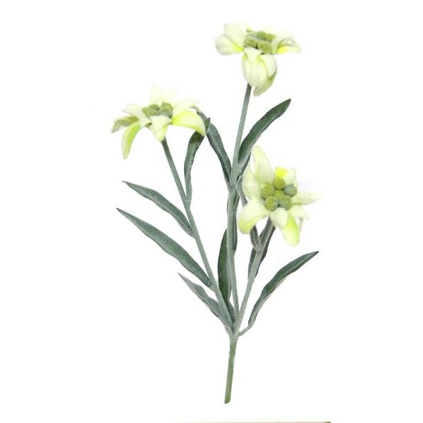 Edelweiss-Pick 3 Blüten 30 cm künstliches Edelweiss Kunstblumen Seidenblumen