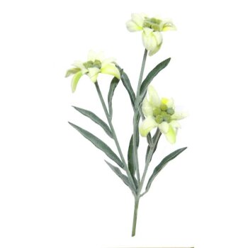 Edelweiss-Pick 3 Blüten 30 cm künstliches...