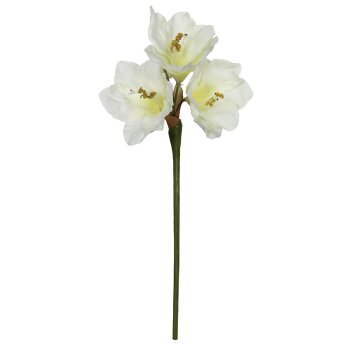 Günstige Amaryllis creme mit drei Blüten und Knospe 38 cm