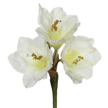 Günstige Amaryllis creme mit drei Blüten und Knospe 38 cm