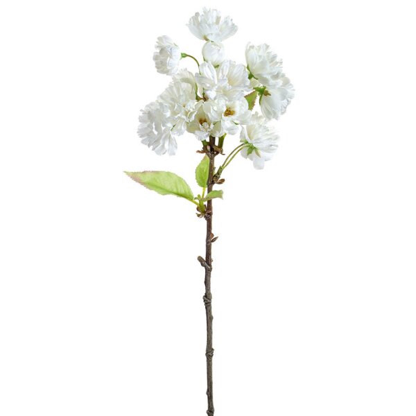 Kirschblüten-Zweig creme-weiss 41 cm