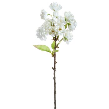 Kirschblüten-Zweig creme-weiss 41 cm