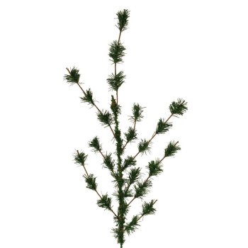 Mingfarnzweige – Lärchenzweige grün 36 cm