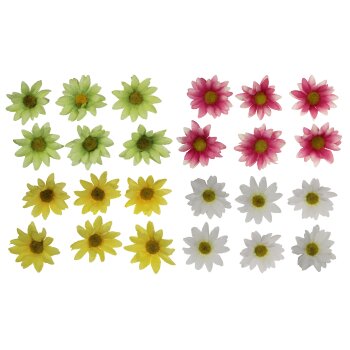 Margeriten Streublüten 6-7 cm in farbreinen Sorten
