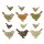 Streudeko Holzvögelchen 2,5 - 4,5 cm in unterschiedlichen Farbsortierungen