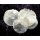 Shell Camar natural 5-8 cm Muschelscheiben Perlmuttscheiben Perlmutt-Platten
