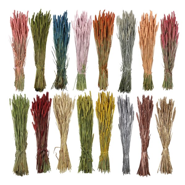 Getrockneter Weizen - zum Basteln und Dekorieren - große Farbauswahl