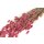 Getrockneter Phalaris - rosa gefärbt 160 g - Trockengräßer