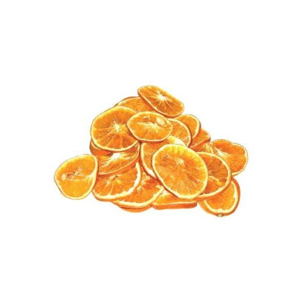 Orangenscheiben getrocknet 10 Stück