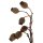 Eukalypthusglocken-Zweige natur 25-40 cm