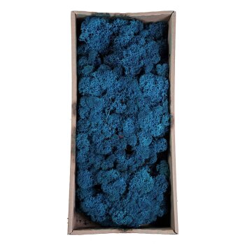 Islandmoos blau präpariert 500 g Bastelmoos Dekomoos