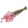 Acroclinium rosa 40-50 cm Trockenblumen Strohblumen