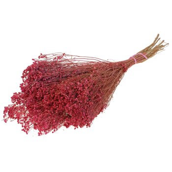 Broom Bloom rosa 130g