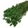 Phalaris gefärbt grün Großpackung 150 g Trockengräser