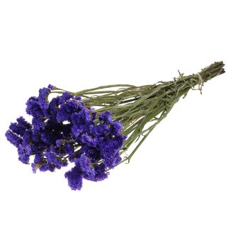 Statice sinuata naturfarbig violett 40 cm