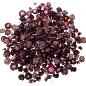 Strohblumenköpfe dunkelviolett Sparpack 100 g