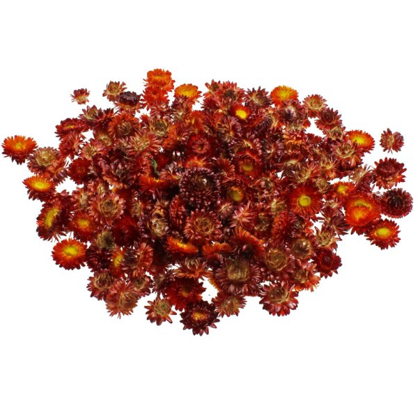 Strohblumenköpfe rot Sparpack 100 g