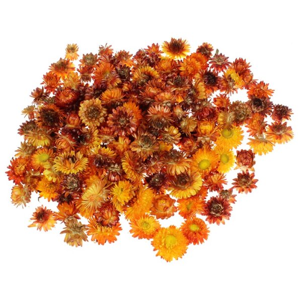 Strohblumenköpfe orange Sparpack 100 g
