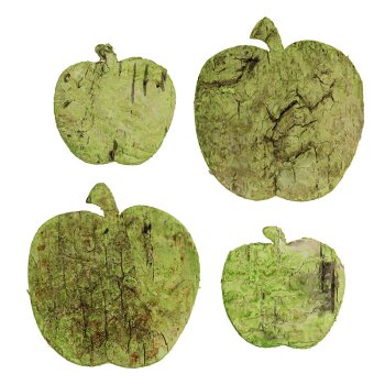 Deko-Äpfel aus Birkenrinde hellgrün gewaschen 4-6 cm Großpackung 36 Stück