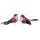 Deko-Vögel mit Federn berry 9-10 cm 2er-Set berry-farbene Bastelvögel