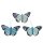 Deko-Schmetterlinge aus Federn Ton-in-Ton hellblau 7 cm mit Clip 3er-Set