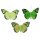 Feder-Schmetterlinge am Draht Grüntöne 3er-Set 7 cm