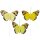 Feder-Schmetterlinge am Draht Gelbtöne 3er-Set 7 cm
