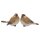Deko-Vogel aus Polystone braun-beige-weiss 12 x 7,5 cm Stückpreis