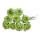 Foamrosen-Bund Schaumrosen grün 2,5-3 cm Foam Rosen Miniröschen Minirosen