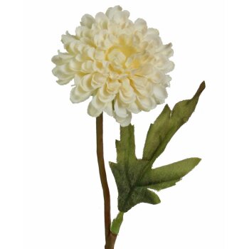 Pom-Pom Dahlie creme-weiss 30 cm künstliche Dahlien Seidenblumen Kunstblumen