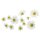 Margeriten-Blüten zum Basteln Streublumen 2,5-4,5 cm 12 Stück
